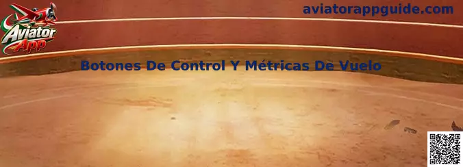 Distribución visual del tablero de Aviator App con controles y métricas de vuelo