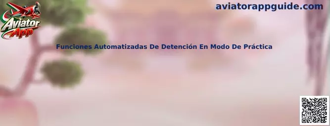 Funciones Automatizadas De Detención En Modo De Práctica