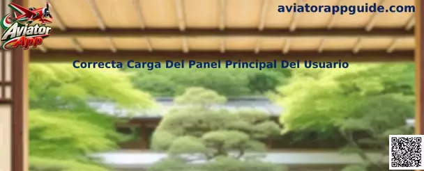 Guía de correcta carga del panel principal del usuario en Aviator App
