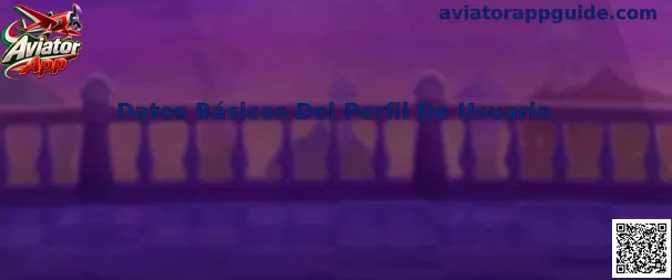 Guía de Datos Básicos Del Perfil De Usuario para Aviator App en México