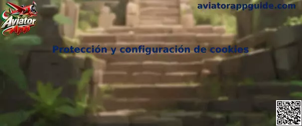 Protección y configuración de cookies en Aviator App
